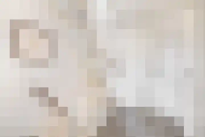 De Schering 10 Zuidland thumbnail 30