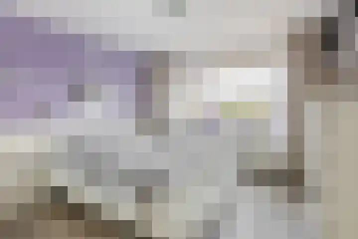 De Schering 10 Zuidland thumbnail 33