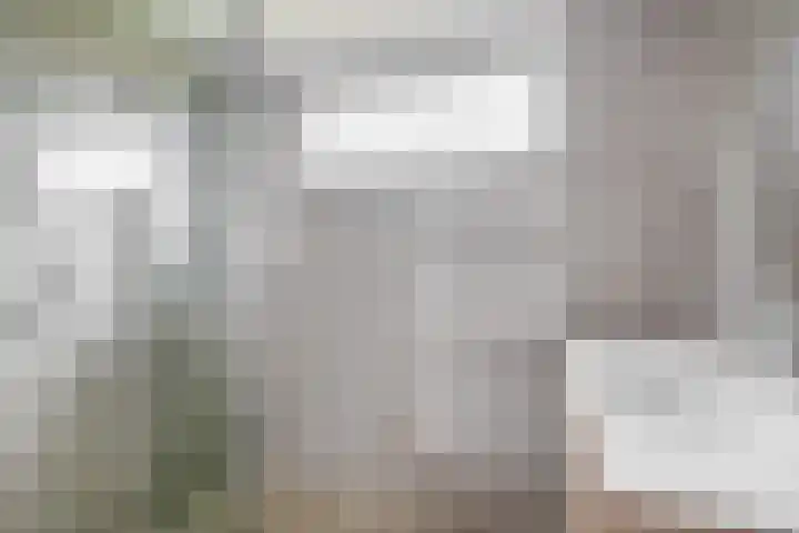 De Schering 10 Zuidland thumbnail 35