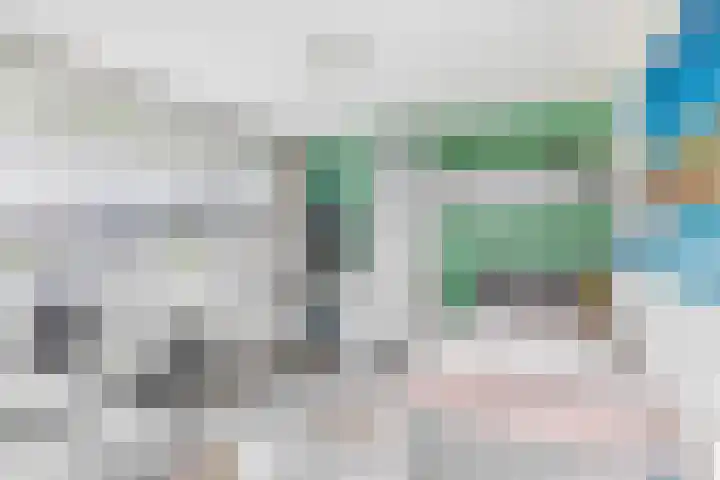 De Schering 10 Zuidland thumbnail 37