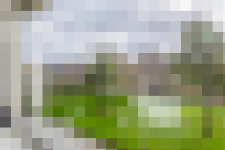 De Schering 10 Zuidland thumbnail 39