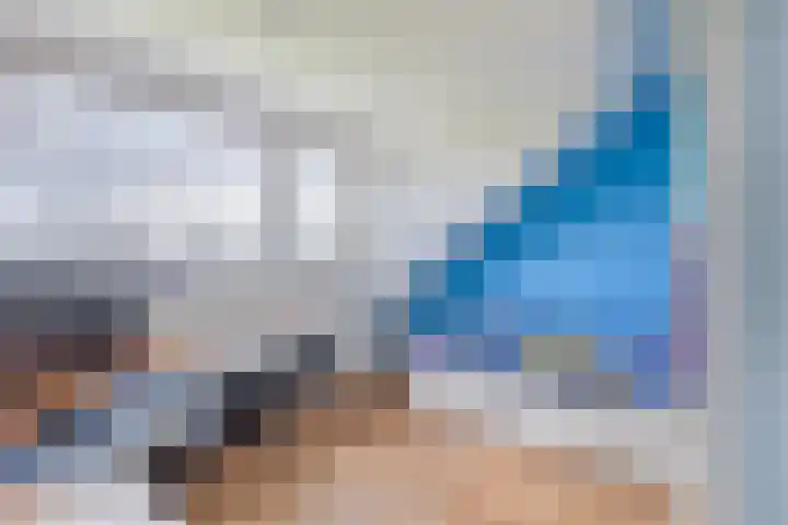 De Schering 10 Zuidland thumbnail 44