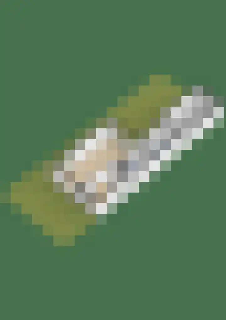 De Schering 10 Zuidland thumbnail 53