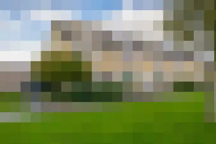 De Schering 10 Zuidland thumbnail 7