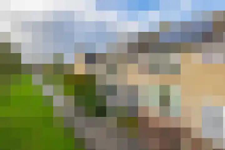 De Schering 10 Zuidland thumbnail 8