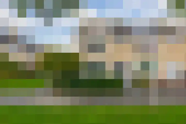 De Schering 10 Zuidland thumbnail 9