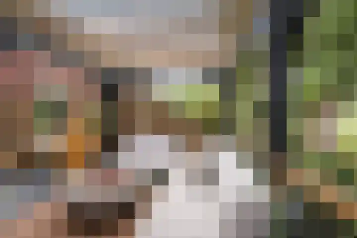 De Schie 58 Naaldwijk thumbnail 12