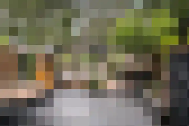 De Schie 58 Naaldwijk foto 2