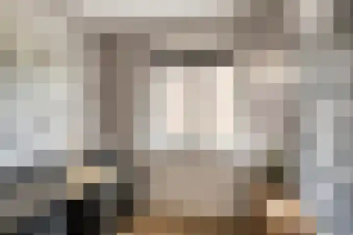 De Schie 58 Naaldwijk thumbnail 23