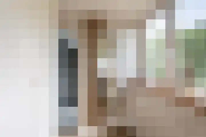 De Schie 58 Naaldwijk thumbnail 32
