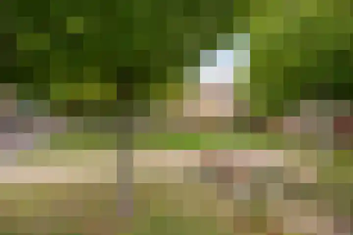 De Schie 58 Naaldwijk thumbnail 38
