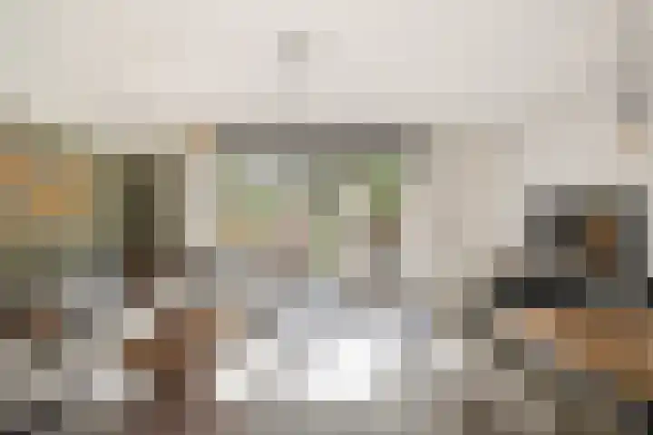 De Schie 58 Naaldwijk thumbnail 7
