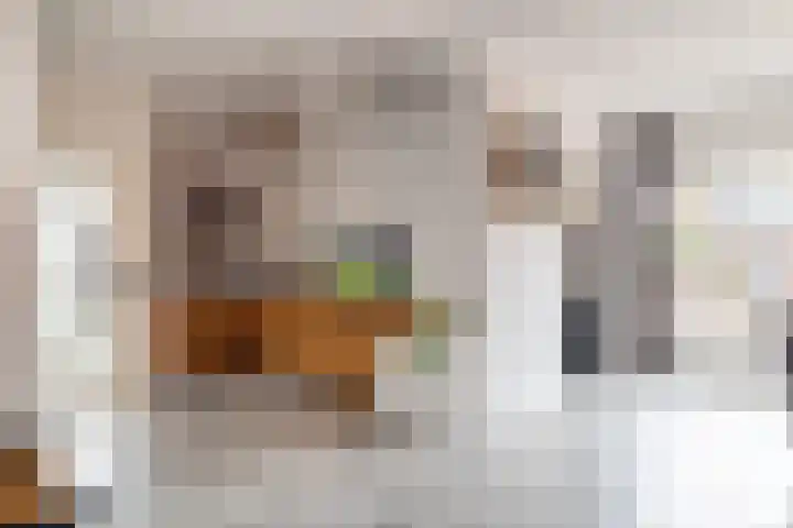 De Schietspoel 9 Goirle thumbnail 12