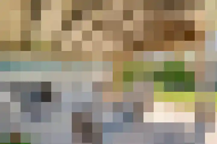 De Schietspoel 9 Goirle thumbnail 4