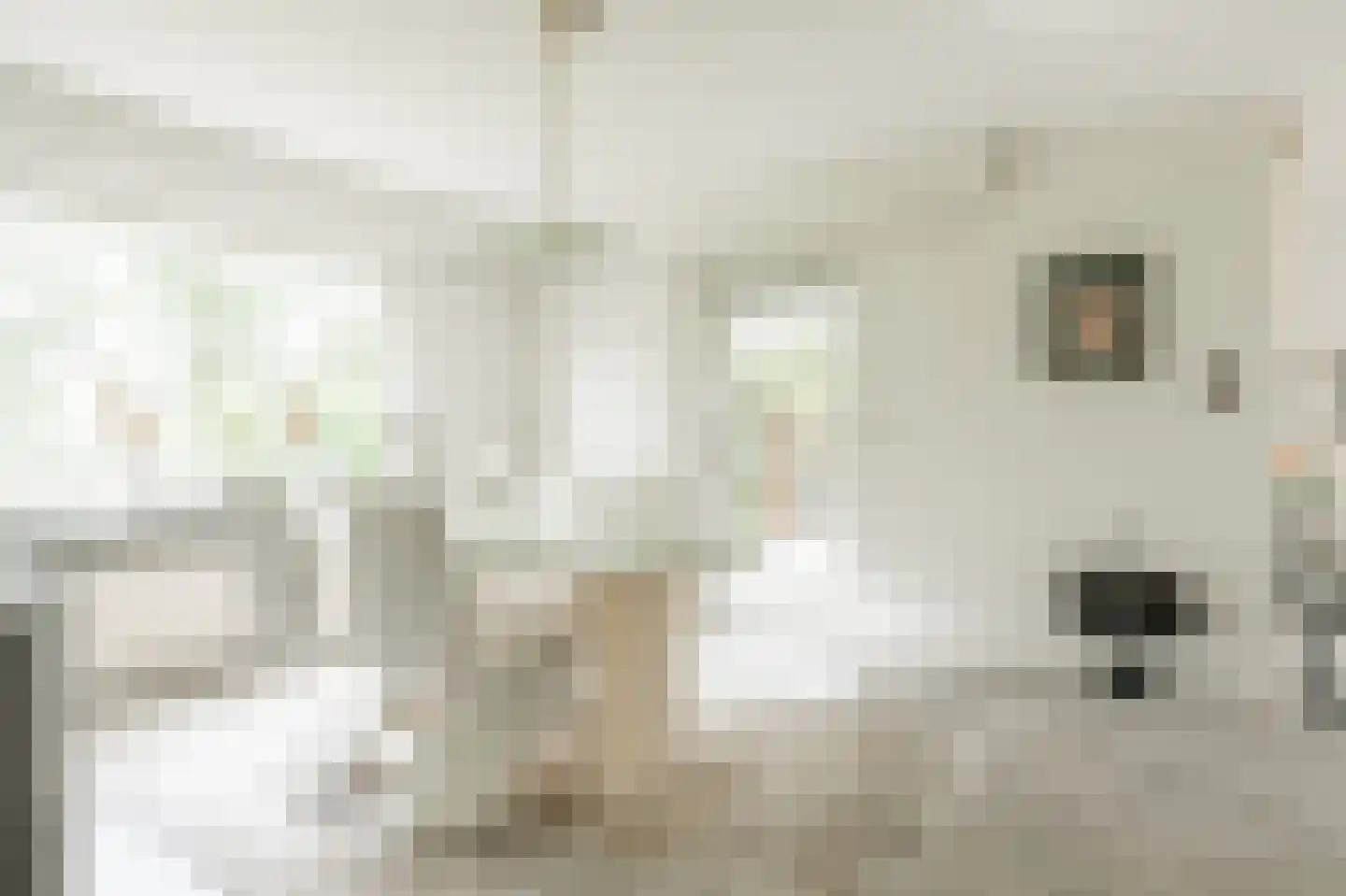 De Schijf 20 Schijf thumbnail 13