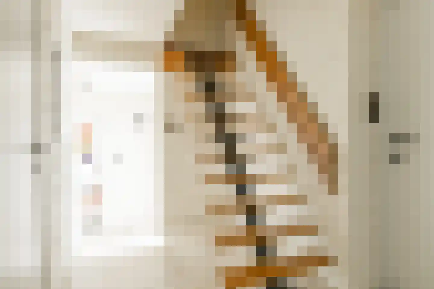 De Schijf 20 Schijf thumbnail 33