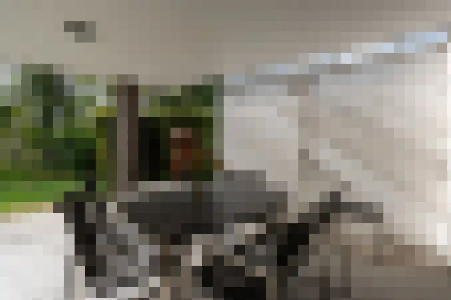 De Schijf 20 Schijf thumbnail 38