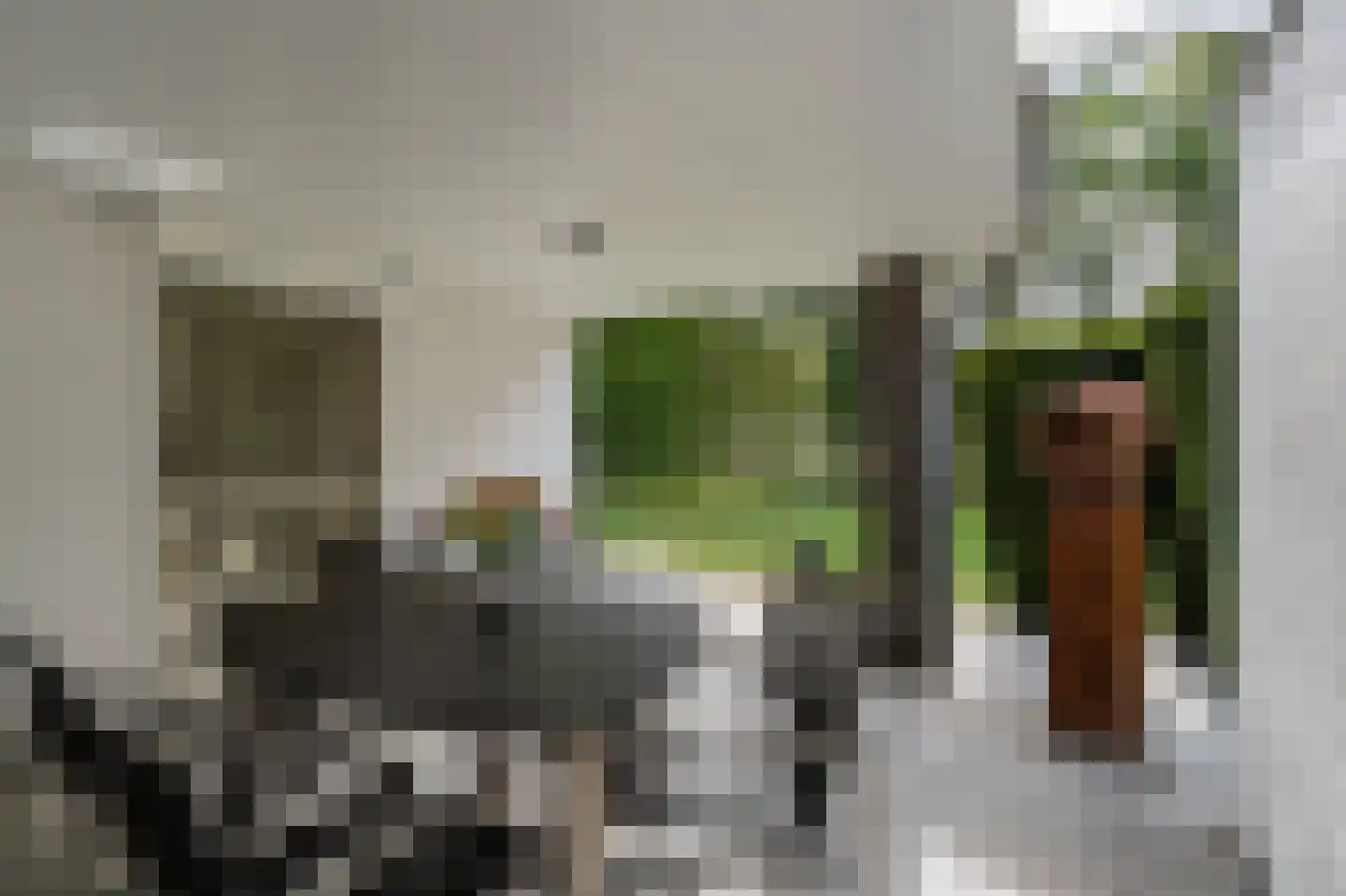 De Schijf 20 Schijf thumbnail 39