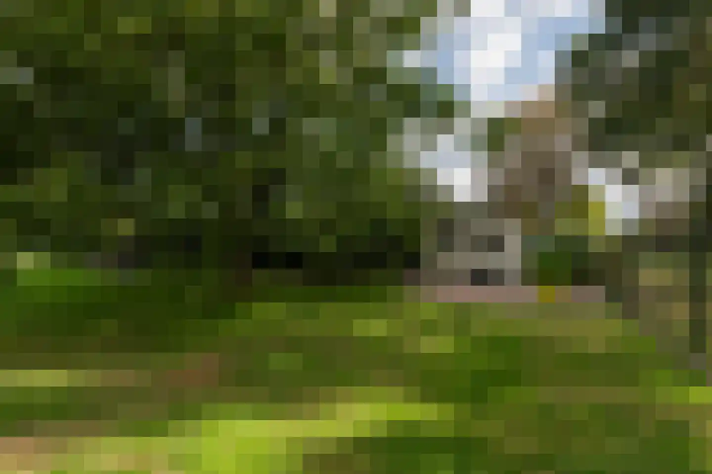 De Schijf 20 Schijf thumbnail 43