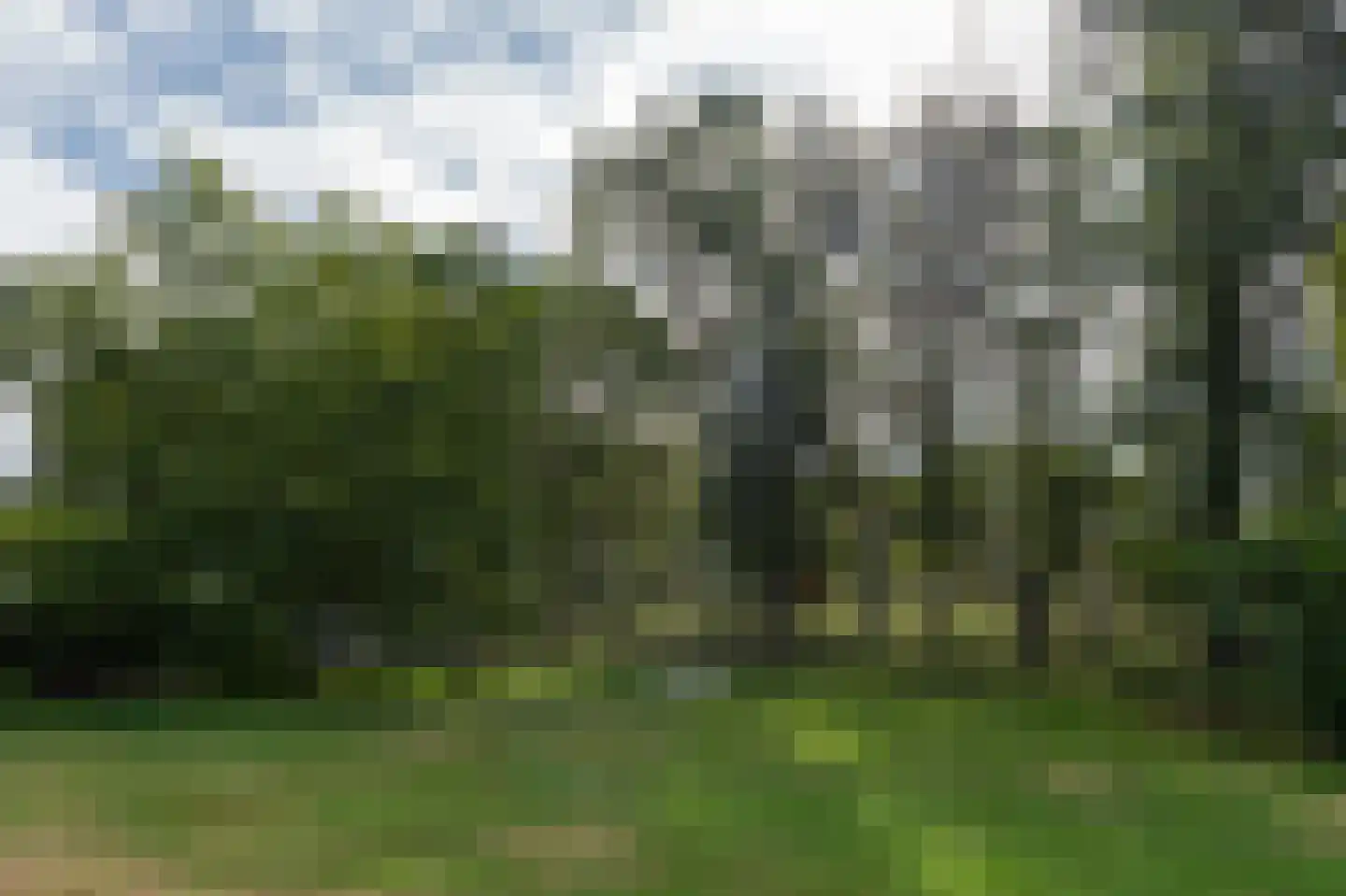 De Schijf 20 Schijf thumbnail 45