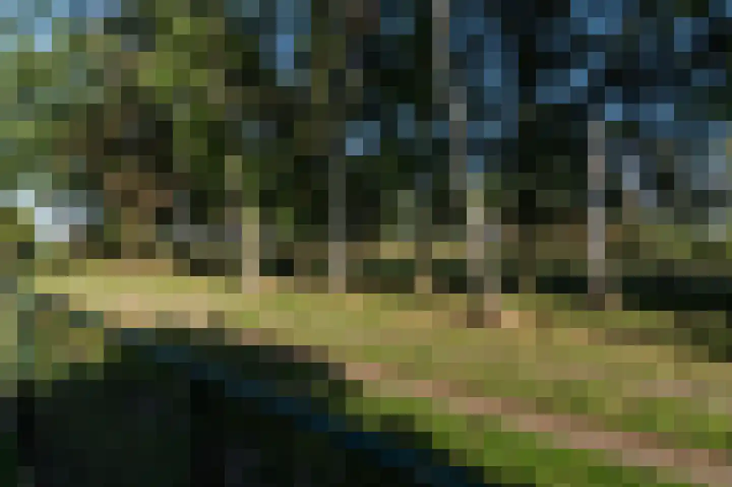 De Schijf 20 Schijf thumbnail 46