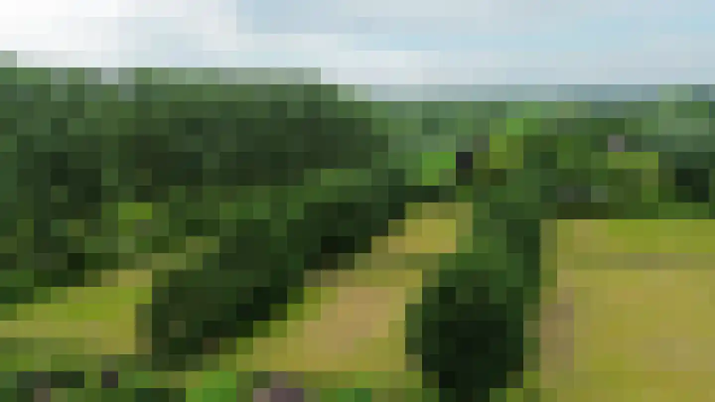 De Schild 25 Schijndel thumbnail 32