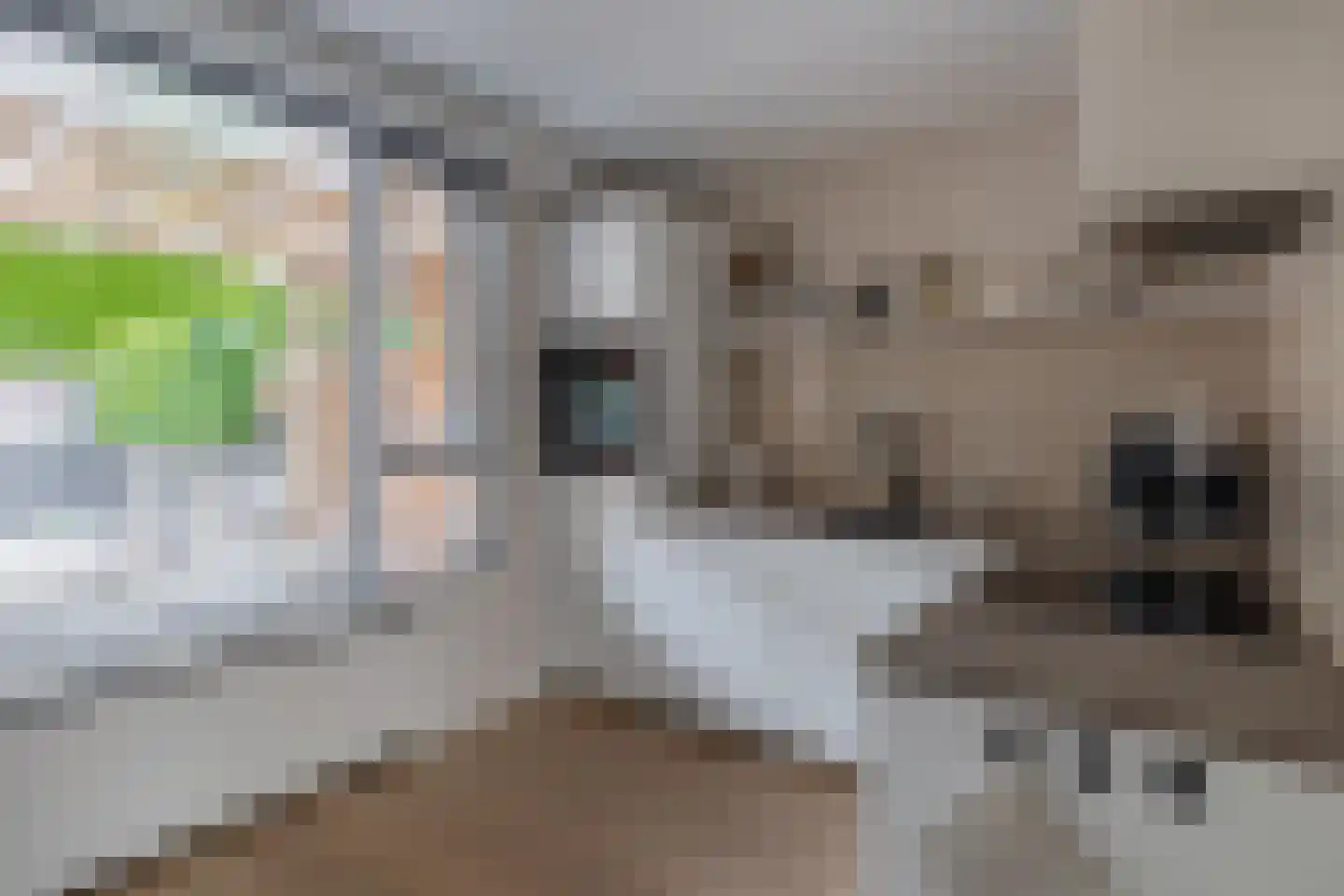 De Schild 25 Schijndel thumbnail 8