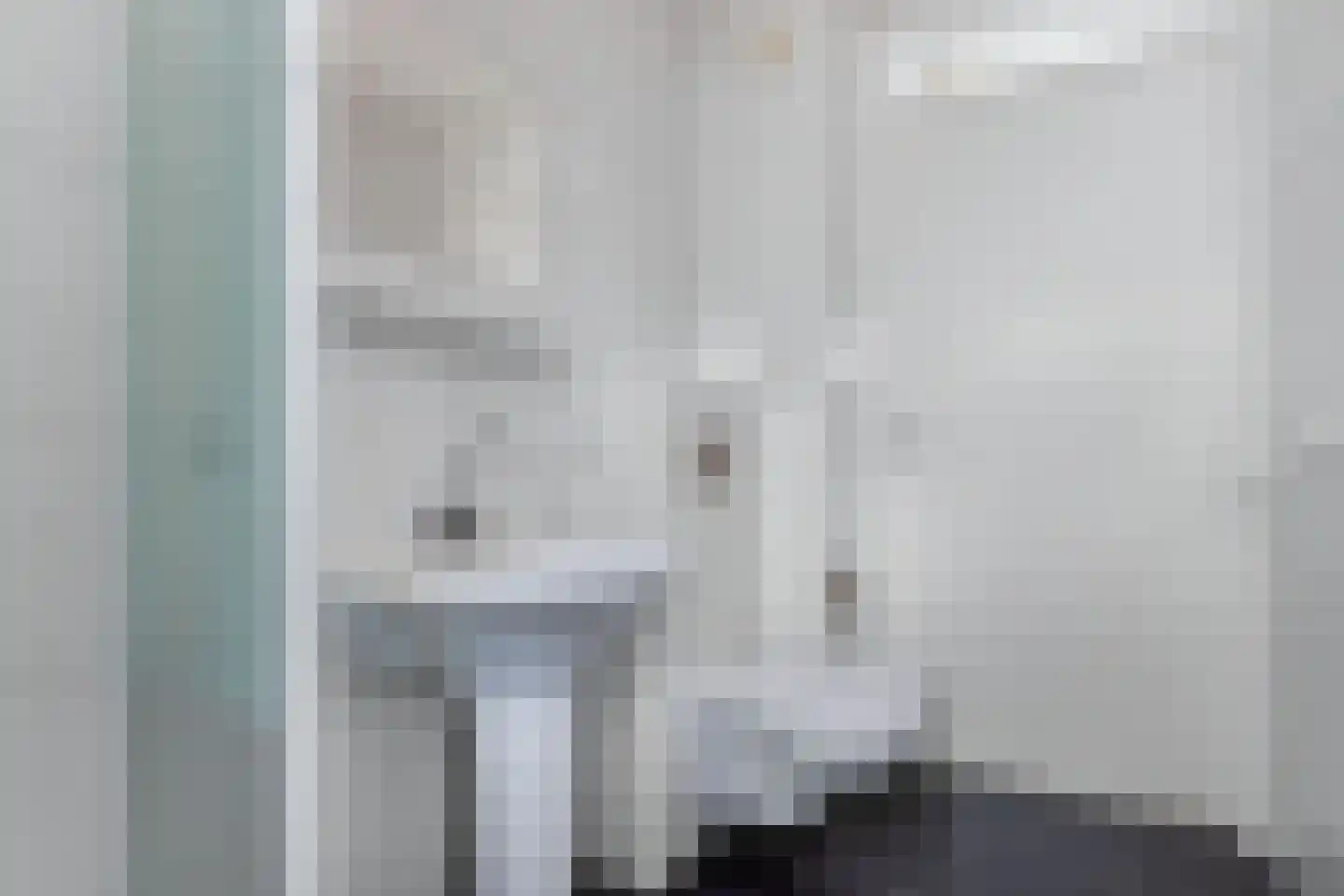 De Schildwacht 9 Steenwijk thumbnail 26