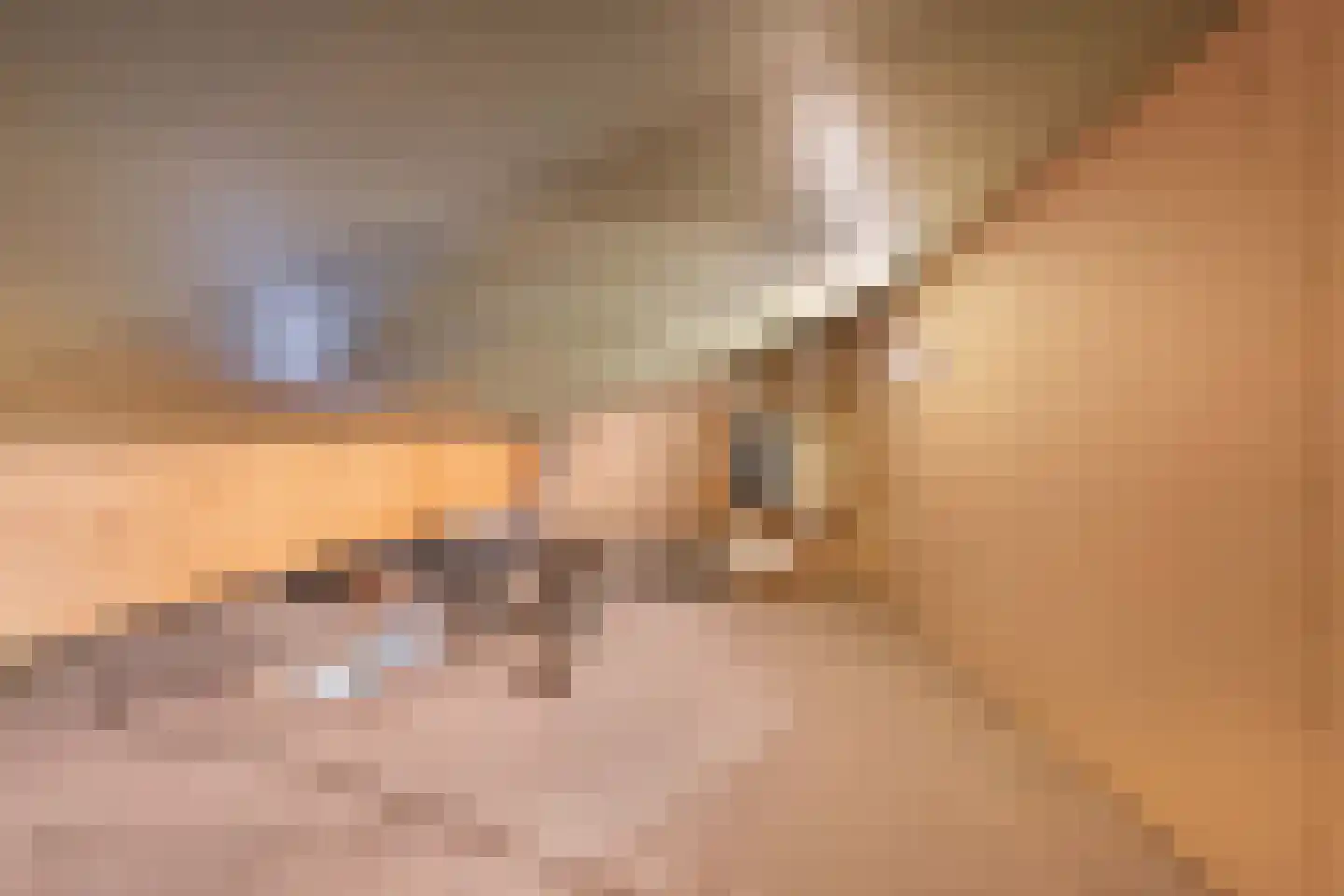 De Schildwacht 9 Steenwijk thumbnail 29