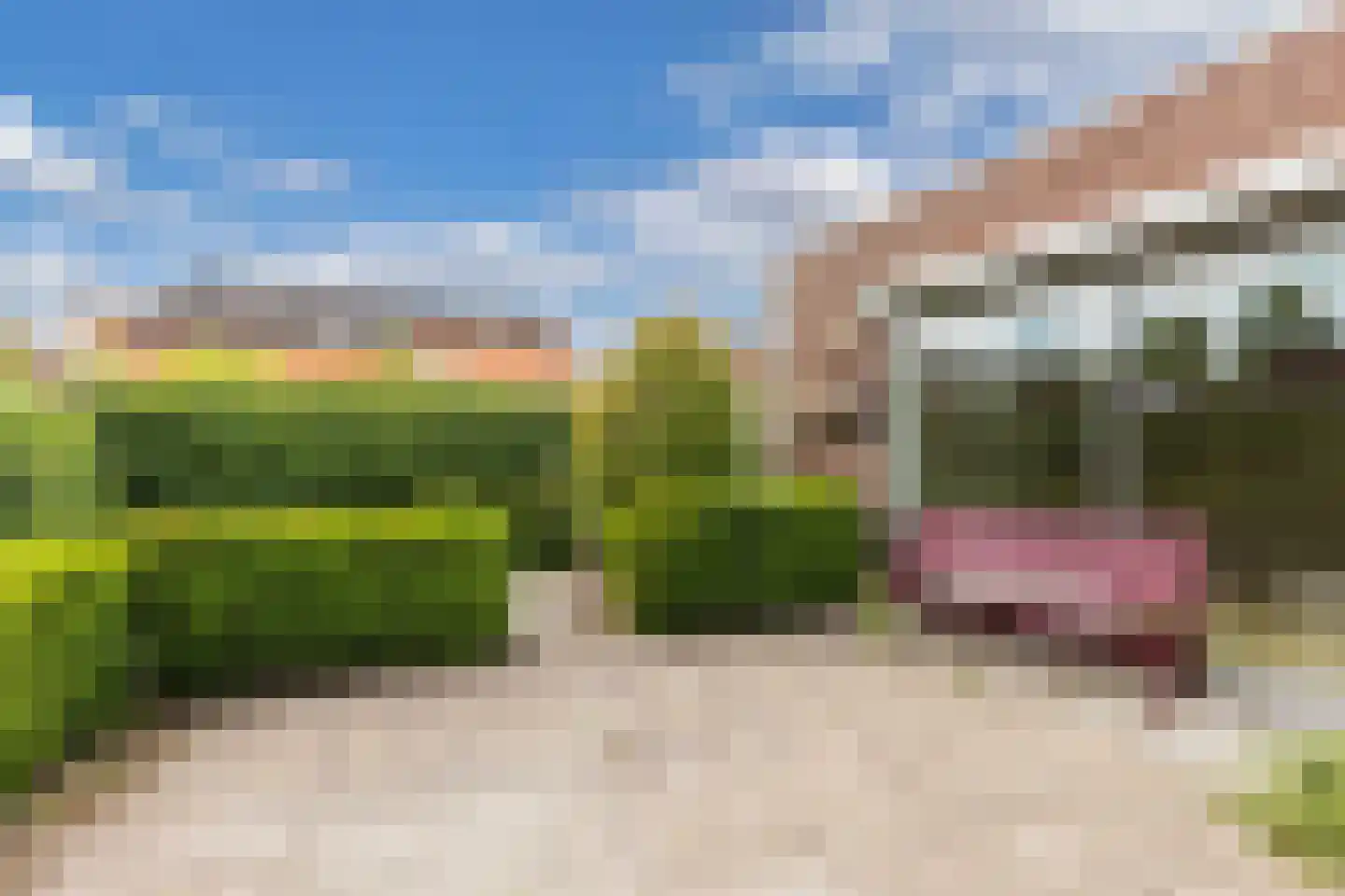 De Schildwacht 9 Steenwijk thumbnail 30