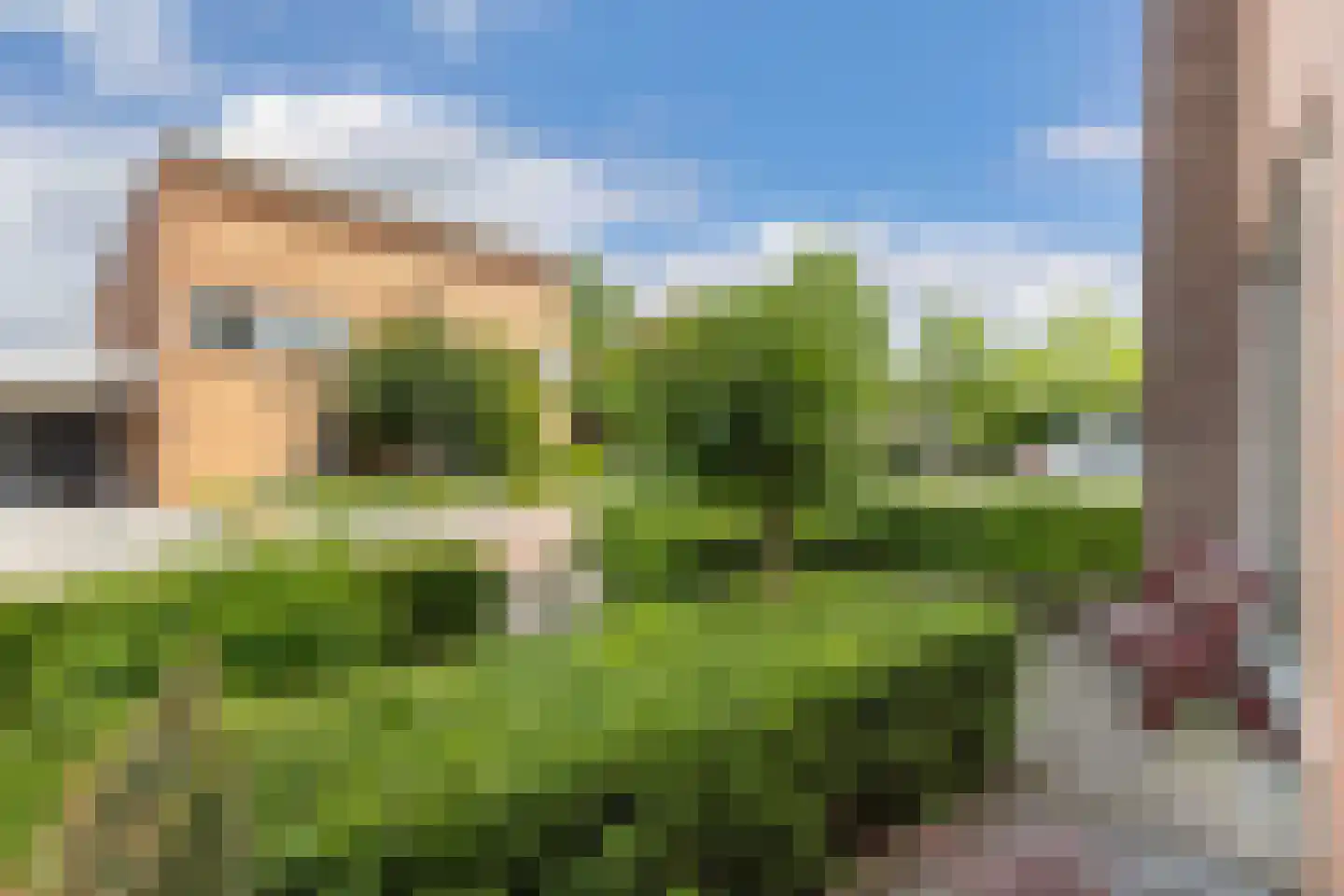 De Schildwacht 9 Steenwijk thumbnail 37