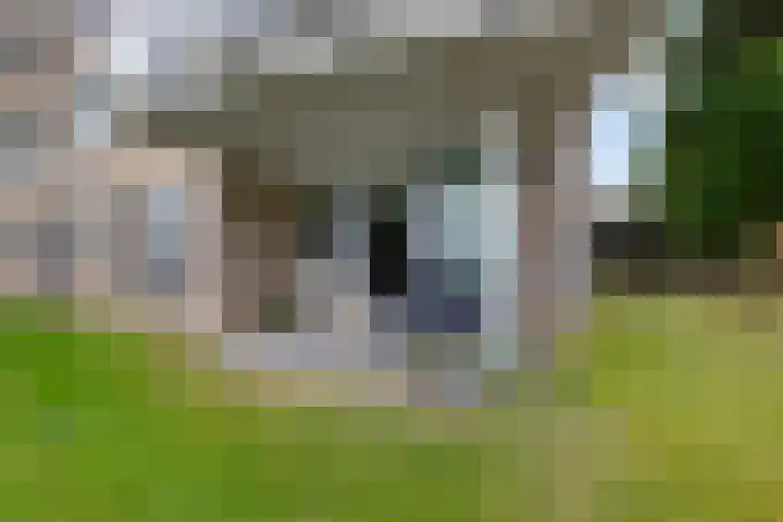 de Schilkampen 1 Sneek thumbnail 20