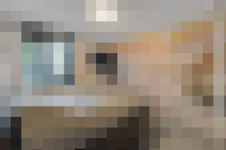de Schilkampen 1 Sneek thumbnail 27