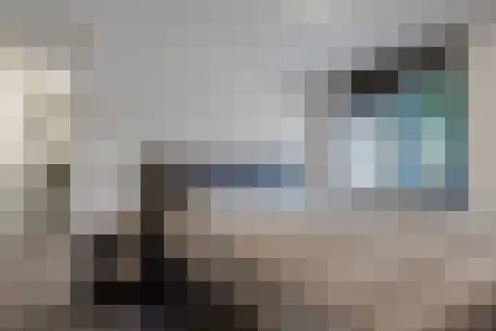 de Schilkampen 1 Sneek thumbnail 28
