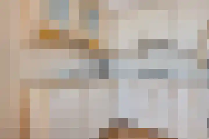 de Schilkampen 25 Sneek thumbnail 13