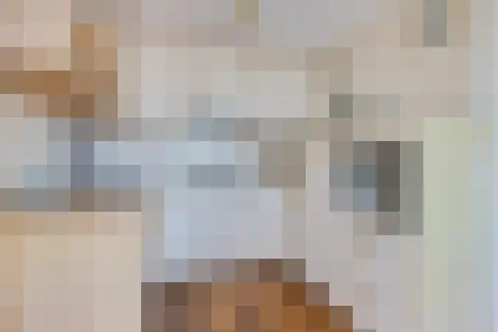 de Schilkampen 25 Sneek thumbnail 14