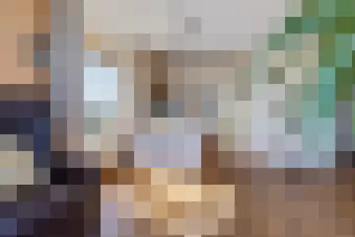 de Schilkampen 25 Sneek thumbnail 17