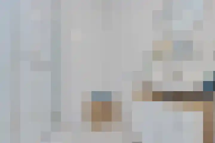 de Schilkampen 25 Sneek thumbnail 19