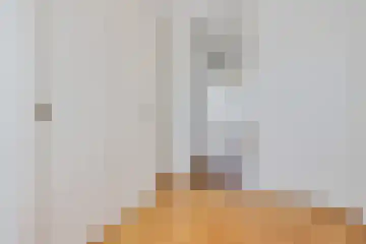 de Schilkampen 25 Sneek thumbnail 26