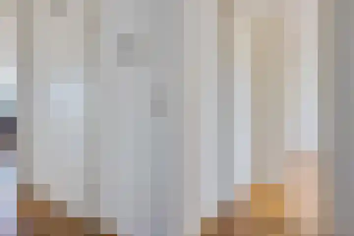de Schilkampen 25 Sneek thumbnail 27