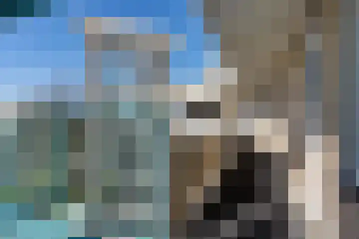de Schilkampen 25 Sneek thumbnail 28