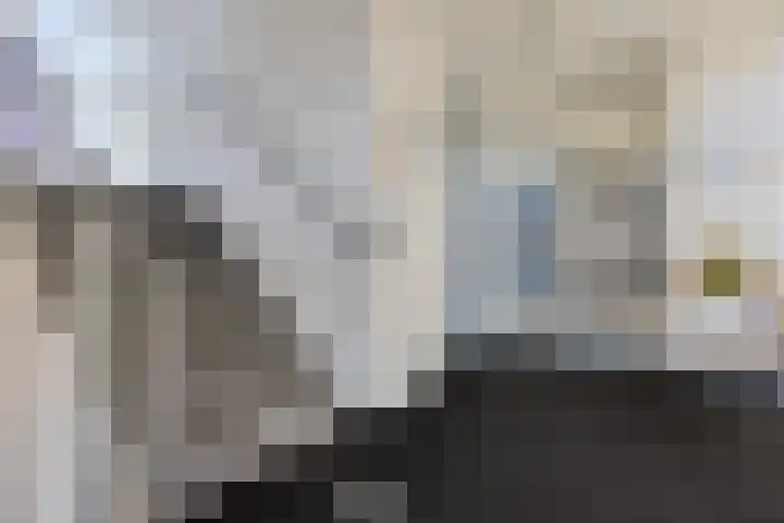 de Schilkampen 25 Sneek thumbnail 30