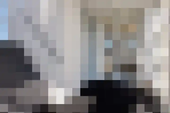 de Schilkampen 25 Sneek thumbnail 32
