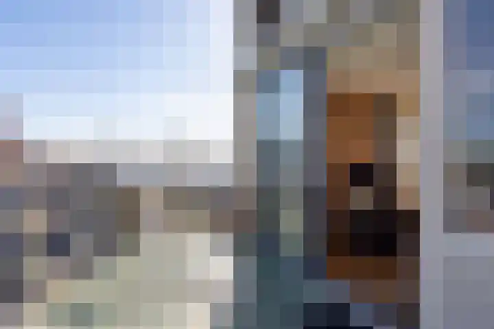 de Schilkampen 25 Sneek thumbnail 7