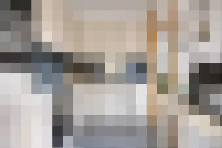 De Schimmerik 4 Veldhoven thumbnail 22