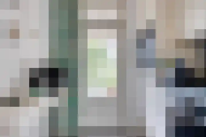 De Schimmerik 4 Veldhoven thumbnail 23