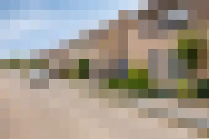 De Schimmerik 4 Veldhoven thumbnail 41