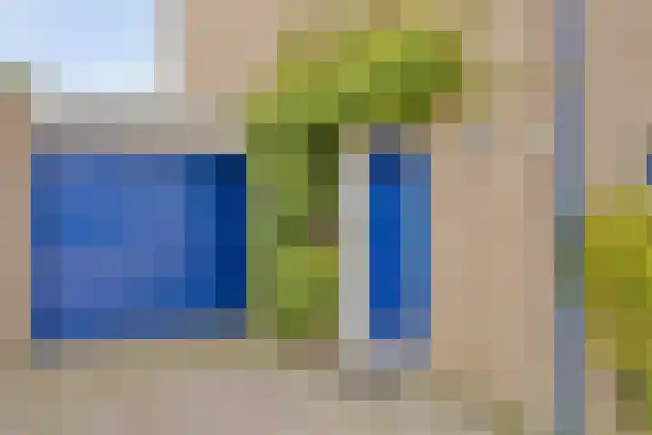 De Schimmerik 4 Veldhoven thumbnail 6