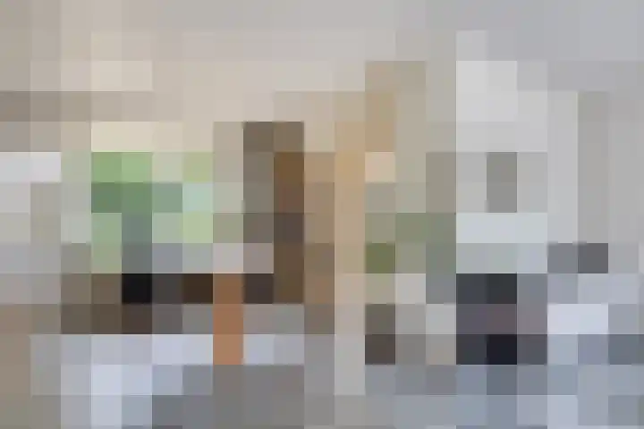 De Schimmerik 4 Veldhoven thumbnail 9