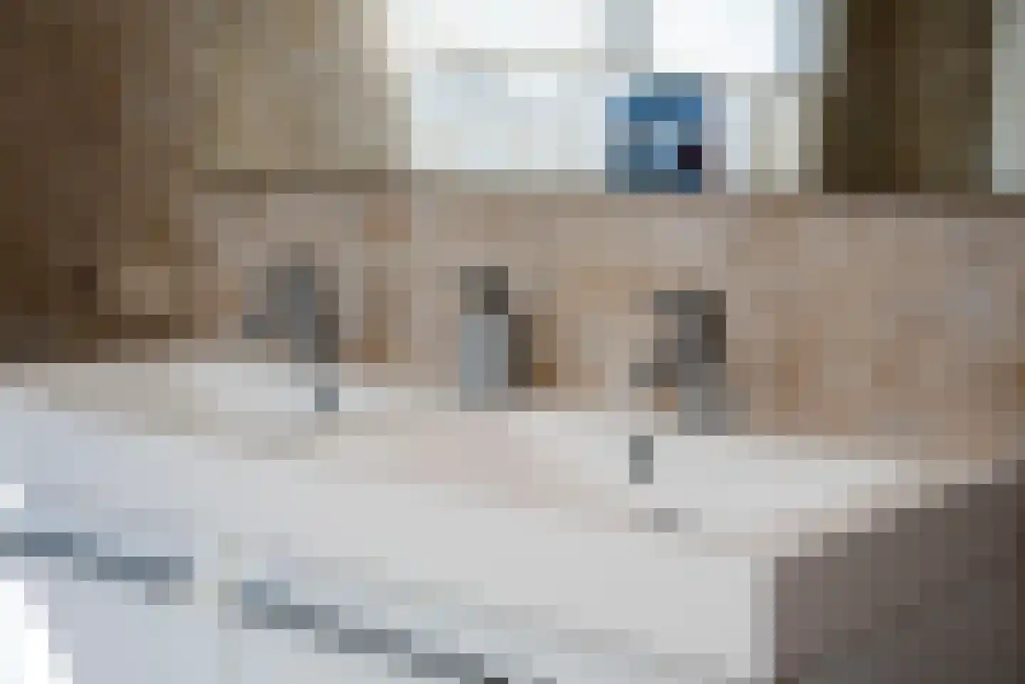 de Schipbeek 11 Delden thumbnail 35